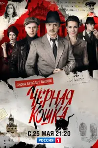 Чёрная кошка (2016)
